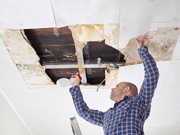 Best Crawl Space Mold Remediation  in Haslet, TX